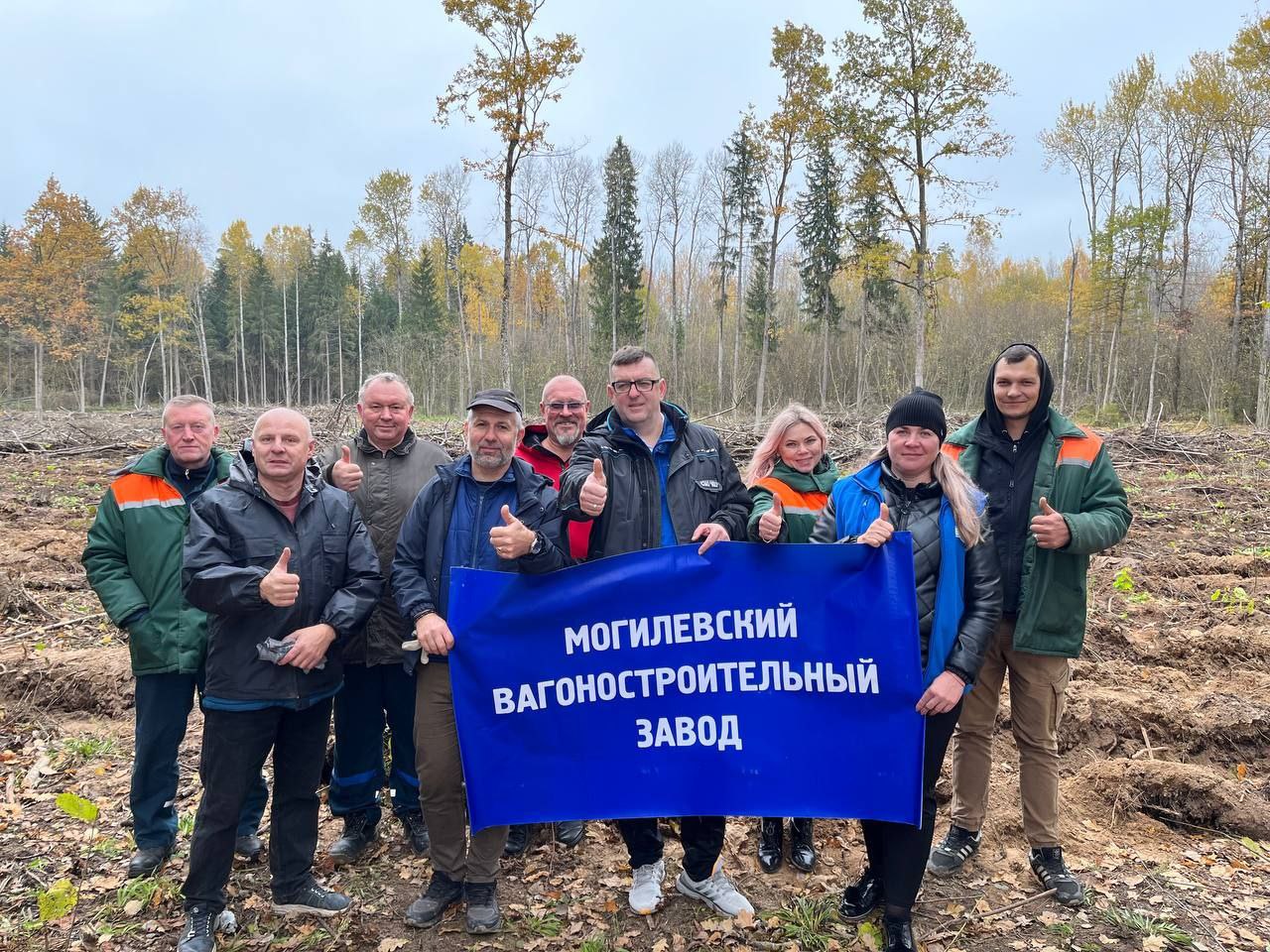 Дай лесу новае жыццё!